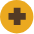 healthcare Icon