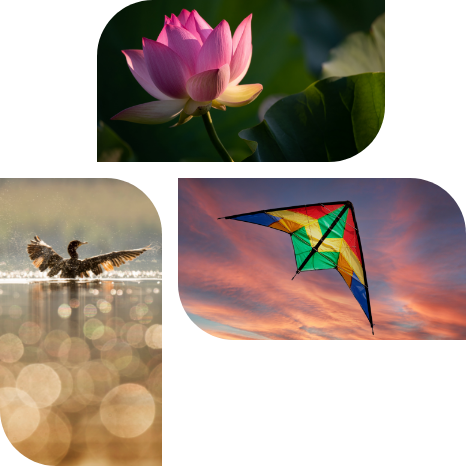 USP 3 Collage